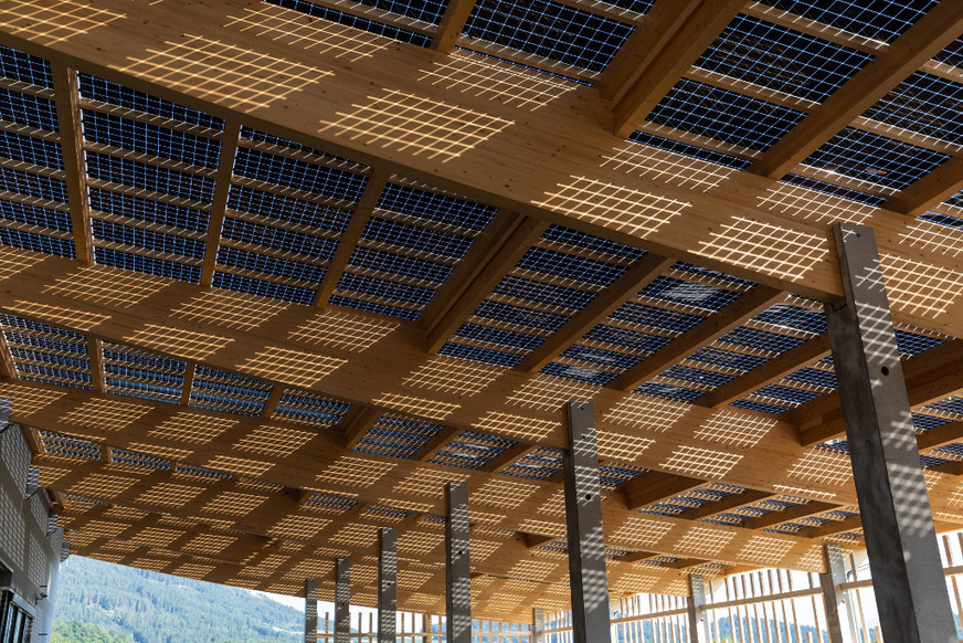 Die Dachkonstruktion besteht aus Holz und ist mit semitransparenten, bicafialen Solarmodulen eingedeckt.