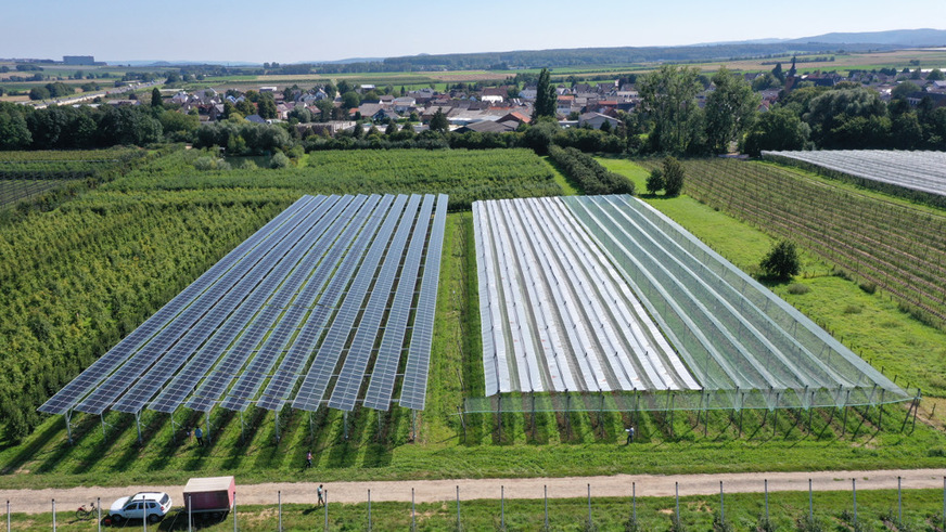 Die Apfelplantage ist mit unterschiedlichen Schutzsystemen überdacht, deren Wirksamkeit die Projektpartner untersuchen.