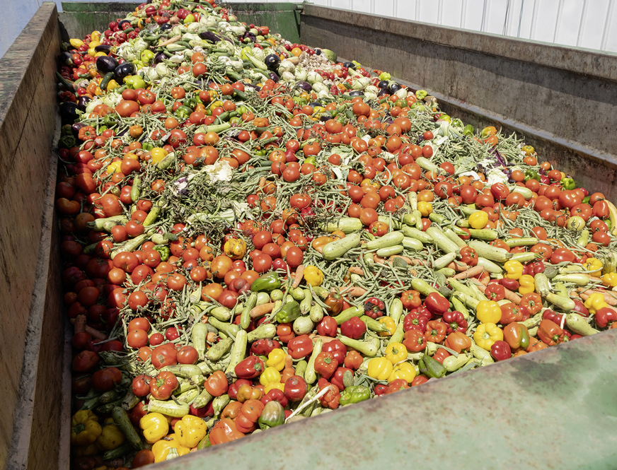 Aus kommunalen Abfällen kann Futter für die Bioabfallvergärungsanlage werden.
