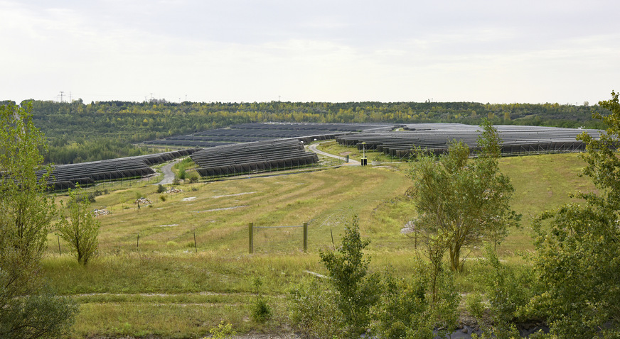 Die Mibrag-Gala-Service GmbH hat eine Vielzahl von Ausgleichs- und Ersatzmaßnahmen umgesetzt, wodurch 45 teilweise miteinander verbundene Einzelhabitate zum Schutz von Zauneidechsen und Insekten entstanden sind.
