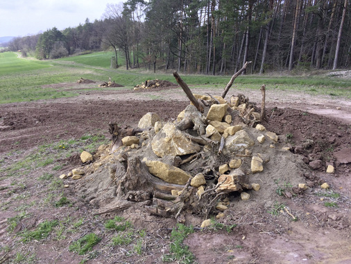 In neu angelegten Habitaten wie hier am Rand des Solarparks im unterfränkischen Dürrenried finden Tiere ein neues Zuhause.