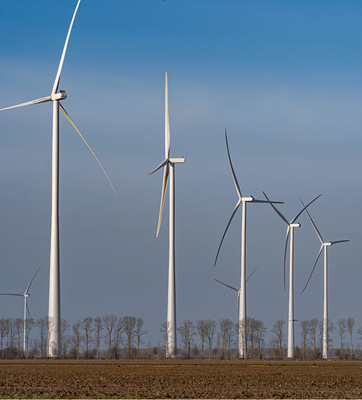Windpark im niederländischen Windenergie-Cluster Windplan Groen mit GE 6.0-164