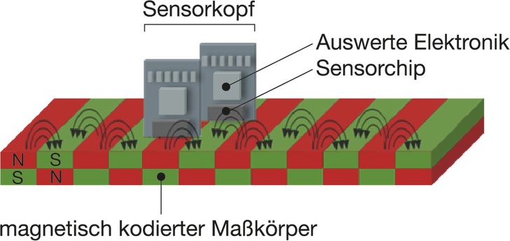 Funktionsweise magnetisch kodierter Maßkörper, Sensorkopf und Auswerteelektronik