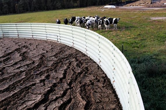Feldheim Biogas | Die Biogasanlage, die Feldheims Haushalte mit Wärme versorgt steht auf dem Gelände einer Agrargenossenschaft innerhalb der Ortsgrenze. - © Foto:FNR/Jan Zappner