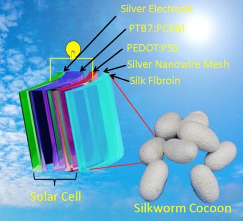 Die Solarzelle mit Seidenspinnerraupen-Kokon-Material. - © Grafik: Sun Group, Soochow University Die Solarzelle mit Seidenspinnerraupen-Kokon-Material. - © Grafik: Sun Group, Soochow University