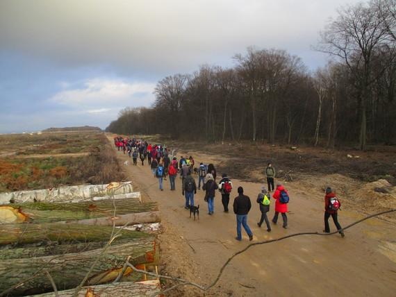 Walkintheforest | Besichtigung neuer Rodungen im Hambacher Forst für den Braunkohletagebau Anfang 2017, in der vorletzten Rodungssaison - © Hambinfo - wikimedia commons (CC BY-SA 4.0) Walkintheforest | Besichtigung neuer Rodungen im Hambacher Forst für den Braunkohletagebau Anfang 2017, in der vorletzten Rodungssaison - © Hambinfo - wikimedia commons (CC BY-SA 4.0)