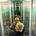 Im Innern des Pufferspeichers. Fast 1.000 Batteriezellen sind hier vereint.