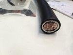 Das Prysmian-Kabel mit der weißen Spezialisolierung, das nicht mehr nur für 90 Grad Temperaturen ausgelegt ist, sondern für 126 Grad. - © Nicole Weinhold Das Prysmian-Kabel mit der weißen Spezialisolierung, das nicht mehr nur für 90 Grad Temperaturen ausgelegt ist, sondern für 126 Grad. - © Nicole Weinhold