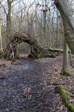 Hambacher Forst 2 | "Weg des Widerstands" im Hambacher Forst gegen die geplanten Rodungen im Februar 2018 - © Marica Vitt - wikimedia commons (CC BY-SA 4.0) Hambacher Forst 2 | "Weg des Widerstands" im Hambacher Forst gegen die geplanten Rodungen im Februar 2018 - © Marica Vitt - wikimedia commons (CC BY-SA 4.0)