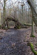 Hambacher Forst 2 | "Weg des Widerstands" im Hambacher Forst gegen die geplanten Rodungen im Februar 2018 - © Marica Vitt - wikimedia commons (CC BY-SA 4.0)