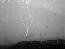 Aufsteigender Blitz | Video-Screenshot der Blitzforscher. Eine Kamera dokumentiert, wie die Blitze von den Blättern in den Himmel aufsteigen.