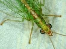 Und der Gewinner ist...