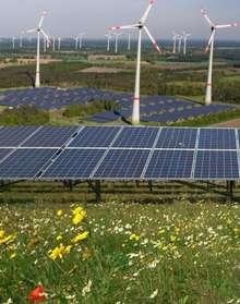 Wildwiesen, Windparks und Solarfreiflächen lassen sich ideal kombinieren.