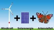 Ideale Flächennutzung für Klima- und Naturschutz: Windkraft, Solar und Artenvielfalt durch Naturwiesen. - © Grafik: Schmagold