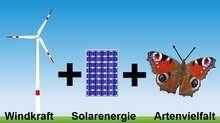 Ideale Flächennutzung für Klima- und Naturschutz: Windkraft, Solar und Artenvielfalt durch Naturwiesen.