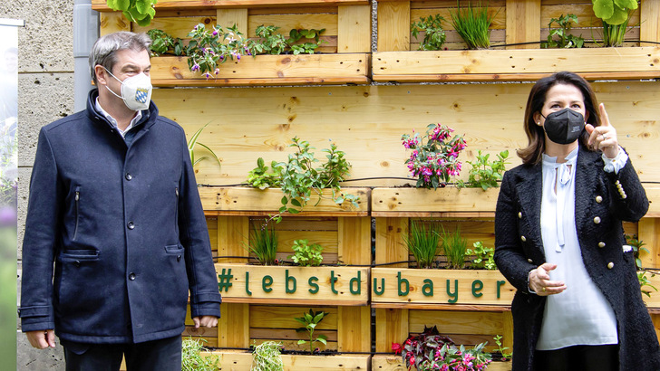 Sicher grün: Landeschef Markus Söder, Agrarministerin Michaela Kaniber in Urban-Gardening-Anlage - © Foto: Bayerische Staatsregierung
