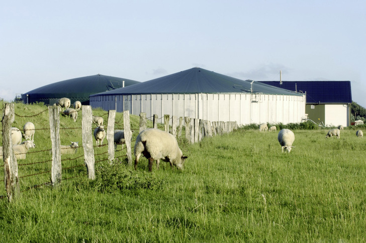 Biogas wird in diesem Projekt für ein marktbasiertes Engpassmanagement genutzt.