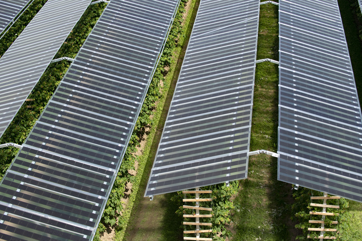 Die Agriphotovltaikanlage von Baywa r.e. in den Niederlanden hat einen der The smarter E Awards in der Kategorie „Herausragende Projekte“ gewonnen.