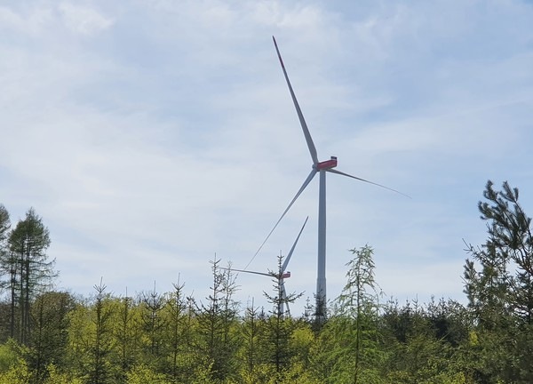 Windpark im Wald,  für den aber nur wenig Wald weichen musste. 