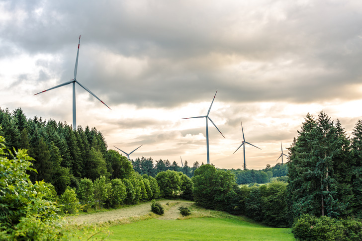 Windpark in waldreicher Gegend in Mittelhessen - © Birgit Reitz-Hofmann - stock.adobe.com
