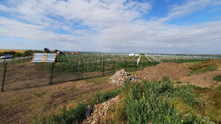 Noch stehen zunächst die Montagepfosten der Solaranlage. Nach der Fertigstellung wird sie systemdienlich ins Netz einspeisen. - © Naturstrom
