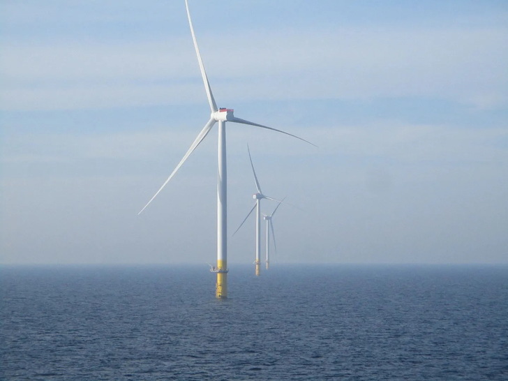 Borssele – einer von viele Windparks von Ørsted. - © Orsted
