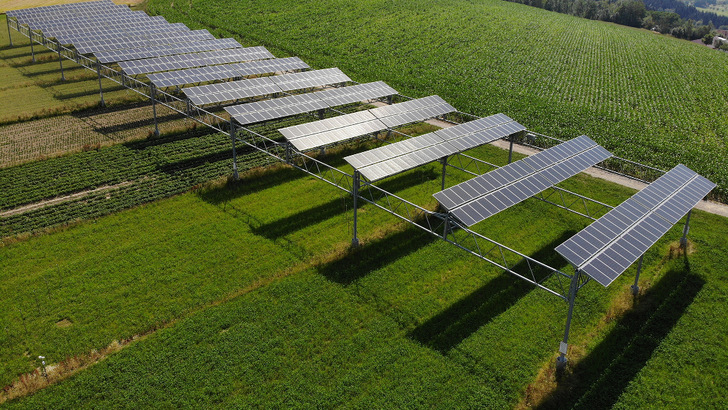 Solaranlagen in der Landwirtschaft dürfen nur auf Ackerflächen errichtet werden. Weide- und Grünland sind ausgenommen. - © Fraunhofer ISE
