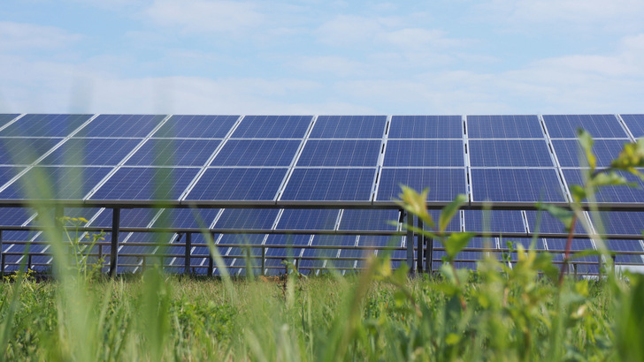 Um einen Solarpark naturverträglich zu entwickeln, bedarf es zusätzlicher Maßnahmen, die über die vorgeschriebenen Ausgleichsmaßnahmen hinaus gehen. - © Naturstrom AG

