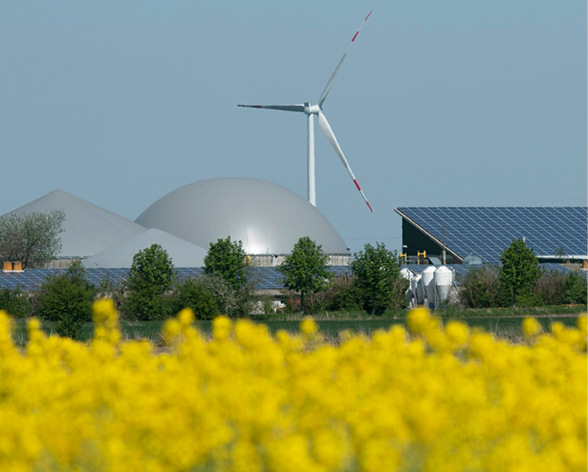 Wie sichert man sich Flächen für Erneuerbare? - © Foto: Dagmar Jensen
