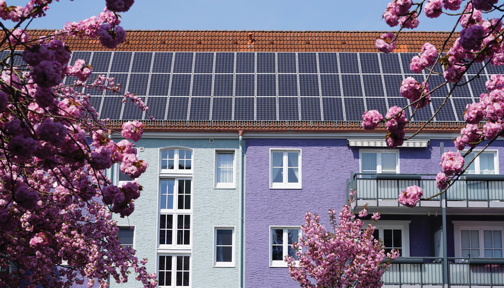 Klimaschutz gehört für Kommunen genauso zu den Aufgabenfeldern wie Bürgerinfo, Wirtschaft und Tourismus.