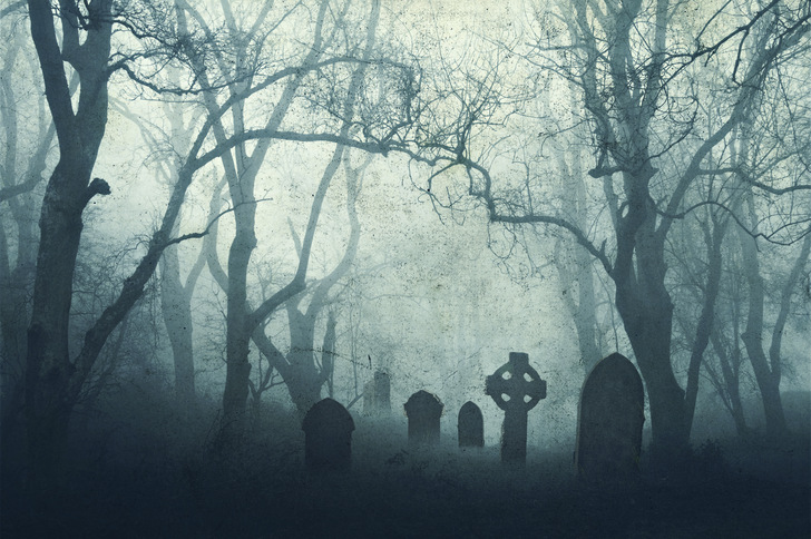 Durch einen "Friedwald" wird die Windenergie in einer Gemeinde in Sachsen beerdigt.