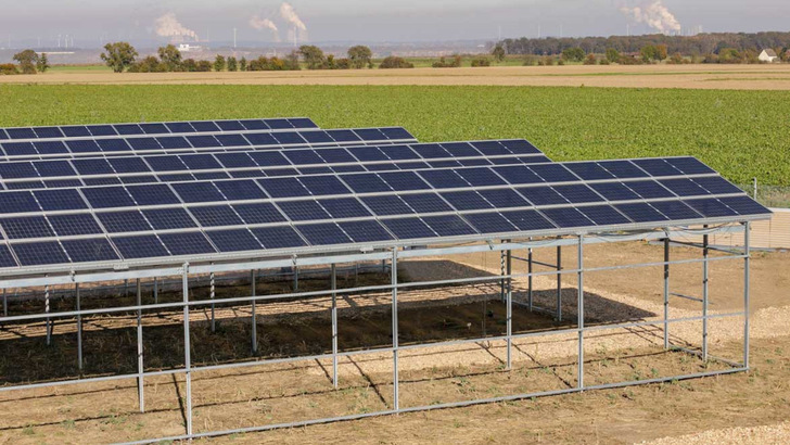 Die fest aufgeständerte Anlage steht auf verlängerten Montagepfosten, so dass auch Agrarmaschinen darunter passen. - © Forschungszentrum Juelich/BiooekonomieREVIER/Ralf-Uwe Umbach
 Die fest aufgeständerte Anlage steht auf verlängerten Montagepfosten, so dass auch Agrarmaschinen darunter passen.