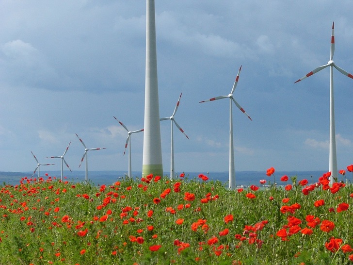 Windparkidylle oder eine Gefahr für Vögel? - © Windpark Druiberg
