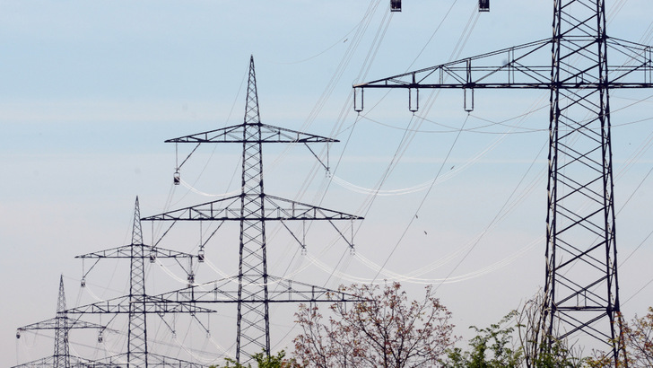Das Netz will Transnet BW in Zukunft auch mit dezentralen Heimspeichern statt mit zentralen fossilen Großkraftwerken stabilisieren.
