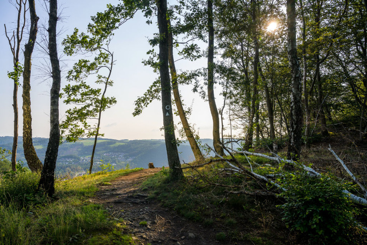 Auch in den Mittelgebirgen wie dem Sauerland würden Touristen Windenergieanlagen akzeptieren – allerdings nicht überall. - © Sauerland-Tourismus e.V. / Klaus-Peter Kappest
