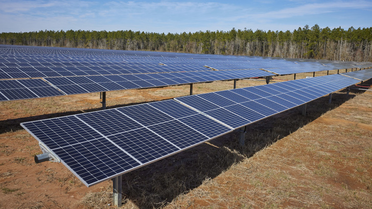 Die Module des Solarparks Hickory Park in Georgia sind auf Trackern installiert. Das treibt den Ertrag nach oben und verstetigt die Einspeisung.