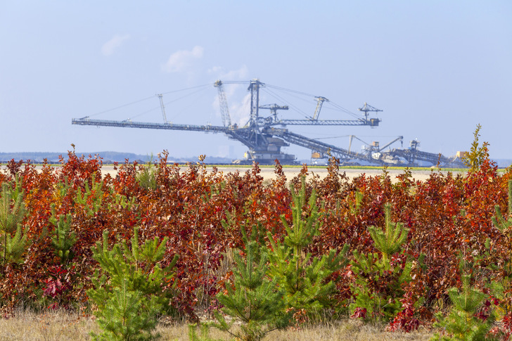 Rekultivierung im Tagebau Nochten. - © Vattenfall / Andreas Franke
