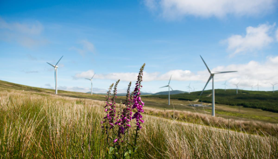 Der Sorne Onshore-Windpark