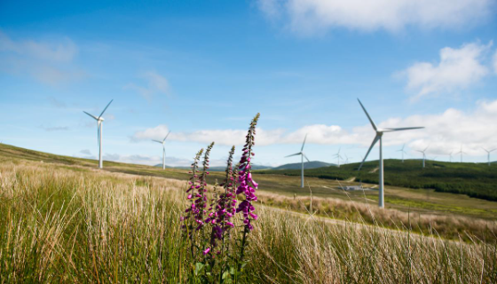 Der Sorne Onshore-Windpark - © Ørsted
