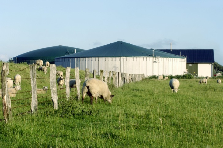 Auch für ältere Biogasanlagen ergeben sich Optionen zum Weiterbetrieb. Entsprechende Konzepte werden auf der EnergyDecentral gezeigt. - © EnviTec
