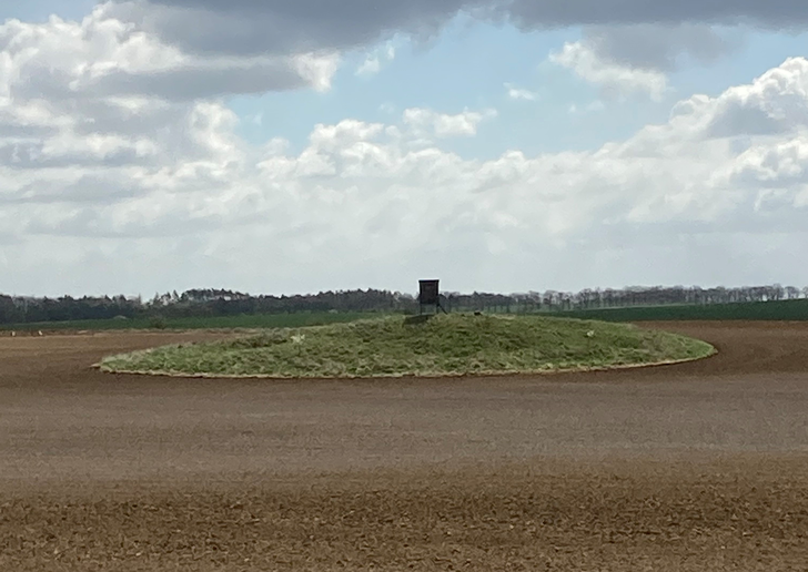 Eines von vielen kuriosen Beispielen: Ein denkmalgeschütztes Hügelgrab, das die Errichtung eines Windparks dort in der Nähe verhindert.  - © ENERTRAG
