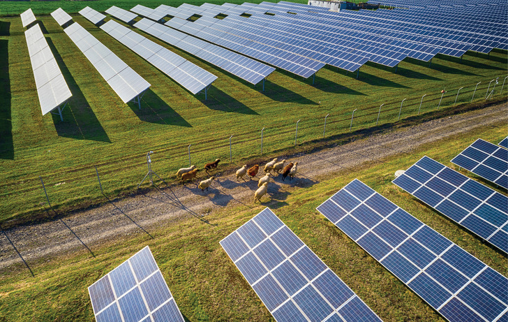 Freiflächen-Solaranlagen oder auch Agri-PV sind besonders für ländliche Kommunen ideal. - © Foto: todor - stock.adobe.com
