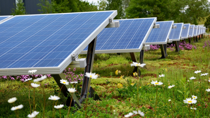 Photovoltaik-Gründachkombinationen aus einer Grundplatte aus 95 Prozent recyceltem Polyethylen und einem Dachsubstat aus Recyclingmaterial. - © Contec
