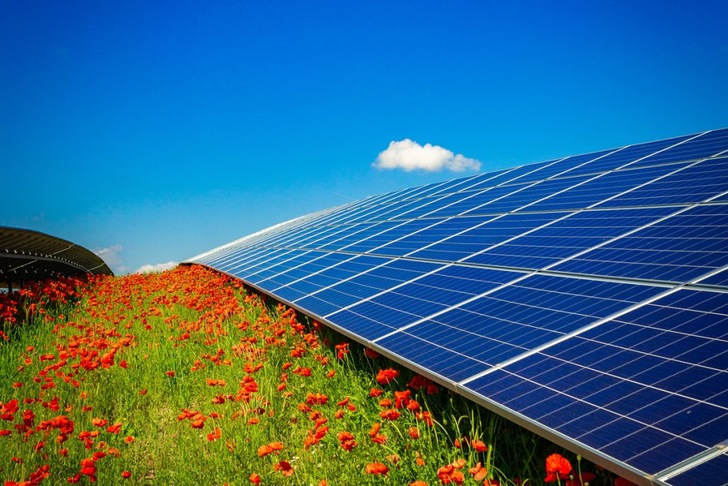 Über eine digitale Plattform können sich interessierte Bürger über aktuelle Projekte von IBC Solar und deren Konditionen informieren. - © IBC Solar
