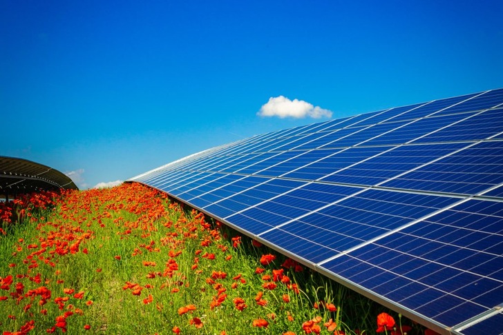 Über eine digitale Plattform können sich interessierte Bürger über aktuelle Projekte von IBC Solar und deren Konditionen informieren.