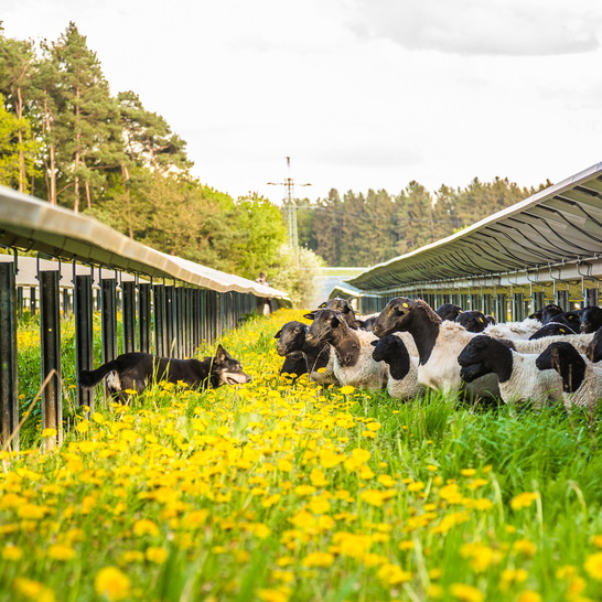 Kommunen sollten jetzt anfangen, erneuerbare Energien auszubauen.