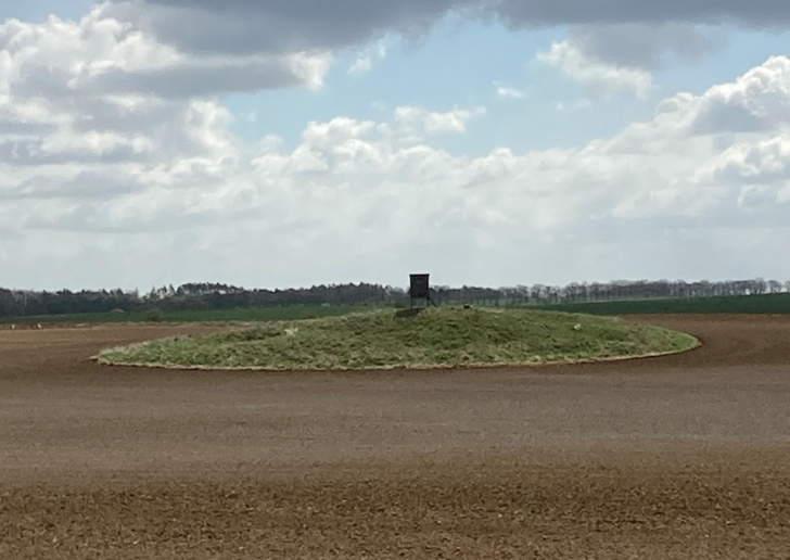 Ein denkmalgeschütztes Hügelgrab kann einen Windpark verhindern. - © ENERTRAG
