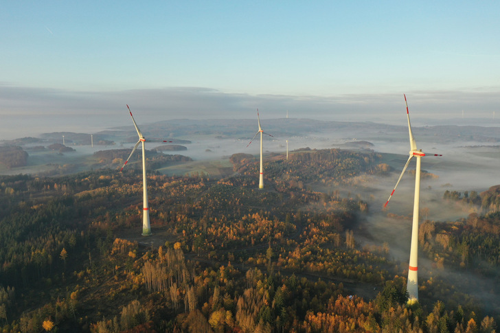 Wind im Wald ist in Baden-Württemberg ein wichtiges Thema beim Ausbau der Windenergienutzung. - © Joachim Wierlemann
