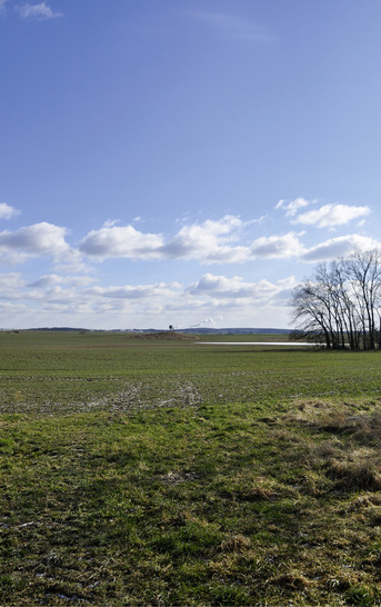 Ein Hügelgrab (Mitte des Bildes) - kaum zu erkennen, und doch verhindert es Windparks. - © Foto: Enertrag
