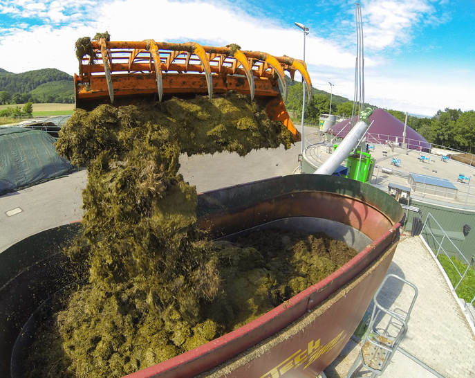 Die Forschungsbiogasanlage der Universität Hohenheim „Unterer Lindenhof“ Eningen